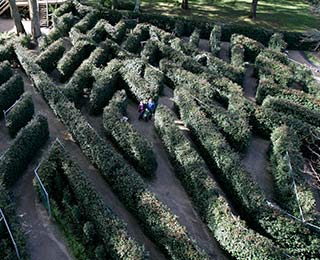 Dandenong-Ranges-Attractions