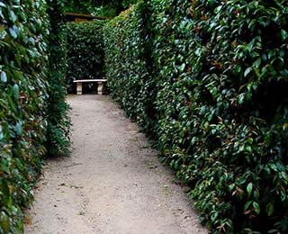 Dandenong-Ranges-Attractions