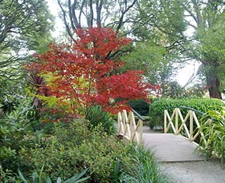 Dandenongs-Yarra-Valley