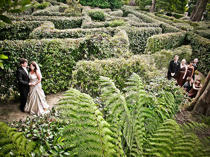 Mt Dandenong Wedding Venues Dandenong Ranges Wedding