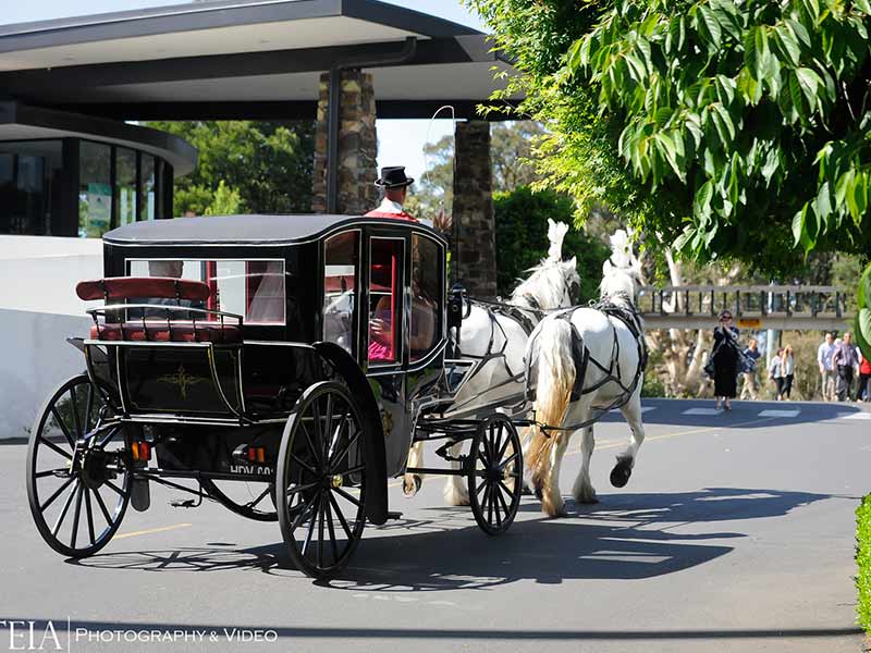 wedding-places-in-melbourne wedding places in melbourne