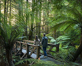 attraction places dandenong