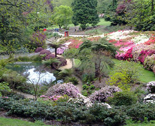 dandenong-attraction-places dandenong attraction places