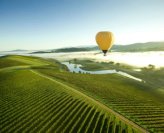 skyhigh tourist places in dandenong